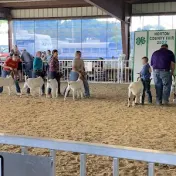 thumbnail image for Norton County 4-H Building