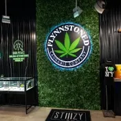 thumbnail image for FlynnStoned