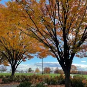 thumbnail image for Kulkarni Theatre at Penn State Harrisburg