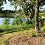 thumbnail image for Centennial Park