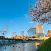 thumbnail image for Brown's Island