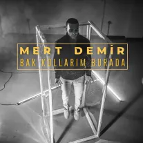 Sadece