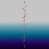 FINE LINE (feat. Skaai)