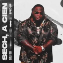 Sech (Sped Up)