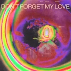 Don’t Forget My Love (Remixes) - Single