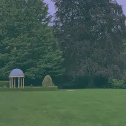 FOR THE HUMANS WHO TAKE LONG WALKS IN THE FOREST