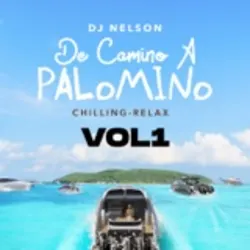 De Camino A Palomino, Vol. 1