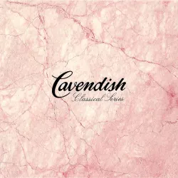 Toccata G Major Bwv 916 (Harpsichord) - Presto