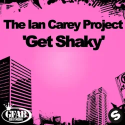 Get Shaky - Radio Edit