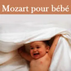 Le Nozze Di Figaro (The Marriage of Figaro), K. 492: Overture