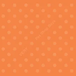 Can You Forgive Her? - 2001 Remastered Version