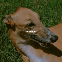 Reason