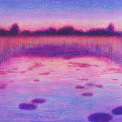 Conexión - Acústico