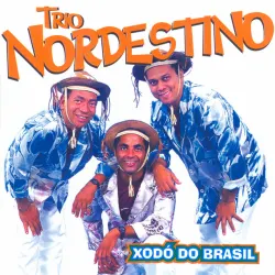 Homenagem ao Trio: Meu Pitiguari / Na Emenda /