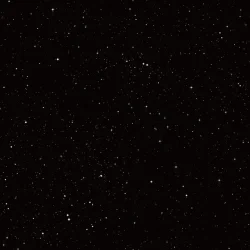 Can't Wait 'Til Christmas