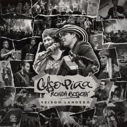 La Pava Congona - En Vivo