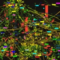 Sleeping Through Sunshine