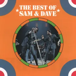 Said I Wasn't Gonna Tell Nobody - LP/Single Version