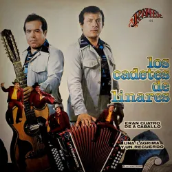 Canción A Una Madre