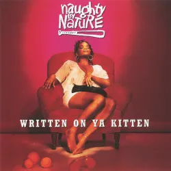 Written on Ya Kitten - Q-Funk Radio Edit