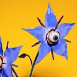 Can We Still Be Friends? (with Laurence Guy)