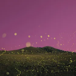 Chasing Flies (feat. Nea)