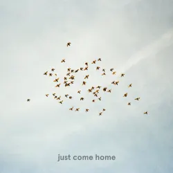 just come home (feat. The Field Tapes & Ezzy)