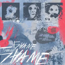 Shame (Jim Aves Remix) - Single Edit