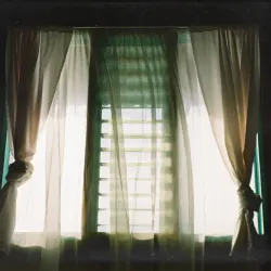 Wir haben den Winter überlebt