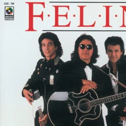 La De Minifalda Negra