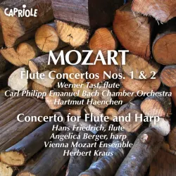 Concerto for Flute and Harp in C Major, K. 299: III. Rondo: Allegro