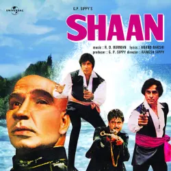 Pyar Karne Wale - Shaan / Soundtrack Version