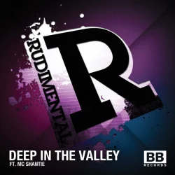 Deep in the Valley - House Mix
