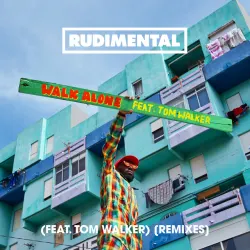 Walk Alone (feat. Tom Walker) - Burak Yeter Remix