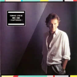 What Are You Doing Tonight