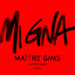 Mi Gna - Maître Gims Remix