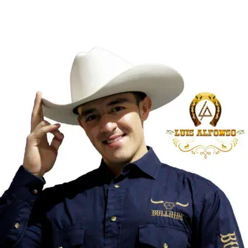 How Much is the Music Album Luis Alfonso Worth? Royalty & Value Breakdown