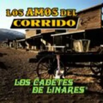 How Much is the Music Album Los Amos Del Corrido Worth? Royalty & Value Breakdown