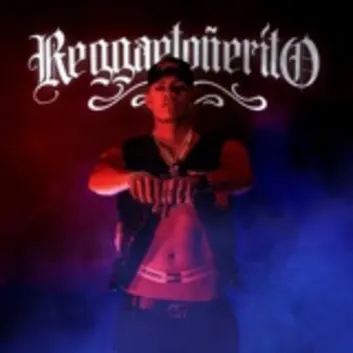 How Much is the Music Album Reggaetoñerito Worth? Royalty & Value Breakdown