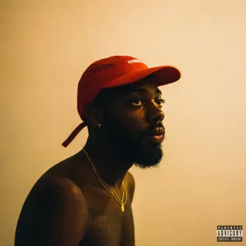 How Much is the Music Album Sonder Son Worth? Royalty & Value Breakdown