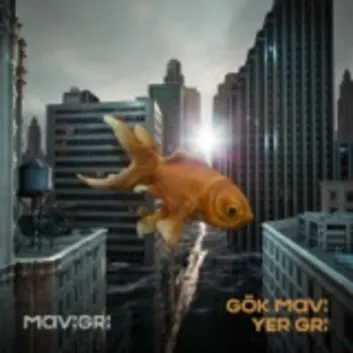 How Much is the Music Album Gök Mavi Yer Gri Worth? Royalty & Value Breakdown