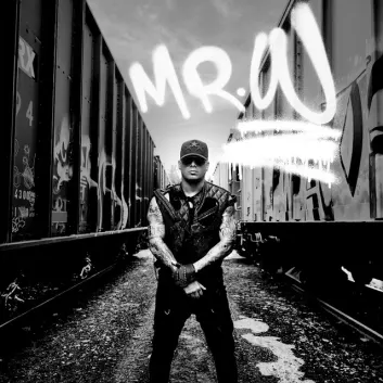 How Much is the Music Album Mr. W Worth? Royalty & Value Breakdown
