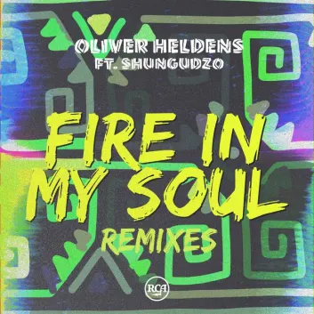 How Much is the Music Album Fire In My Soul (Remixes) (feat. Shungudzo) Worth? Royalty & Value Breakdown