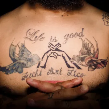 How Much is the Music Album Carry Me Higher Worth? Royalty & Value Breakdown