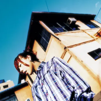 How Much is the Music Album Sakura no Ki no Shita Worth? Royalty & Value Breakdown