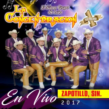 How Much is the Music Album En Vivo Zapotillo Sinaloa 2017 Worth? Royalty & Value Breakdown