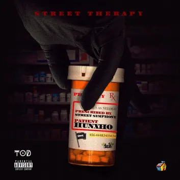 How Much is the Music Album Street Therapy Worth? Royalty & Value Breakdown