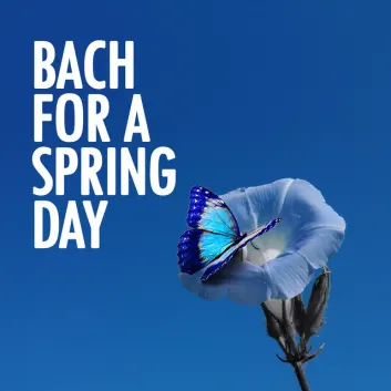 How Much is the Music Album Bach for a Spring Day Worth? Royalty & Value Breakdown