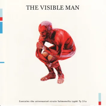How Much is the Music Album The Visible Man Worth? Royalty & Value Breakdown
