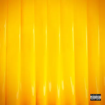 How Much is the Music Album All Is Yellow Worth? Royalty & Value Breakdown